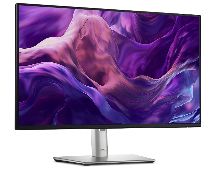 Dell 24